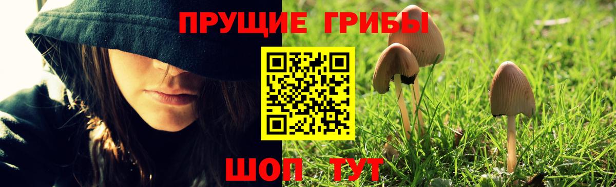 Псилоцибиновые грибы Magic Shrooms  Псилоцибиновые грибы ЛСД  купить наркотики цена  Вход с VPN  Малоярославец 